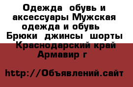 Одежда, обувь и аксессуары Мужская одежда и обувь - Брюки, джинсы, шорты. Краснодарский край,Армавир г.